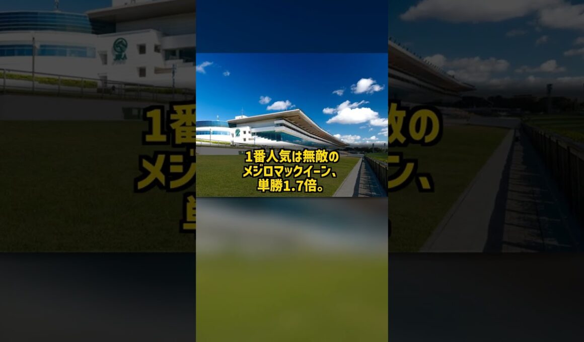 なぜ14番人気が無敵のメジロマックイーンを差し切れたのか 1991年有馬記念ダイユウサク単勝137.9倍 #Shorts