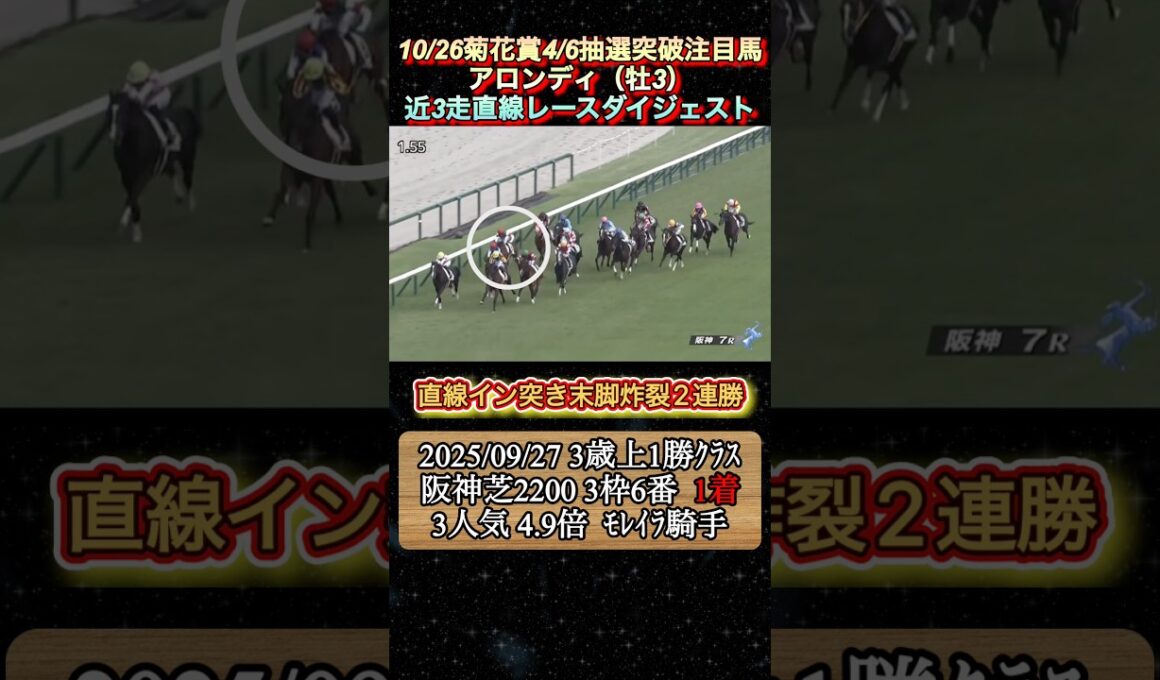 【アロンディ】 菊花賞4/6抽選突破注目馬！近3走ダイジェスト　#競馬  #菊花賞  #アロンディ  #shorts