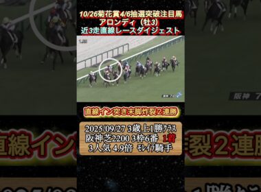 【アロンディ】 菊花賞4/6抽選突破注目馬！近3走ダイジェスト　#競馬  #菊花賞  #アロンディ  #shorts