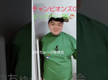チャンピオンズカップはコレ!ピックアップ馬発表! #ピックアップ馬　#チャンピオンズカップ #チャンピオンズC　#中京競馬