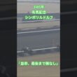 【有馬記念 1985】『名馬のラストラン集』「皇帝、最後まで隙なし」シンボリルドルフ #競馬 #三冠馬 #シンボリルドルフ #有馬記念 #ラストラン #名馬 #shorts