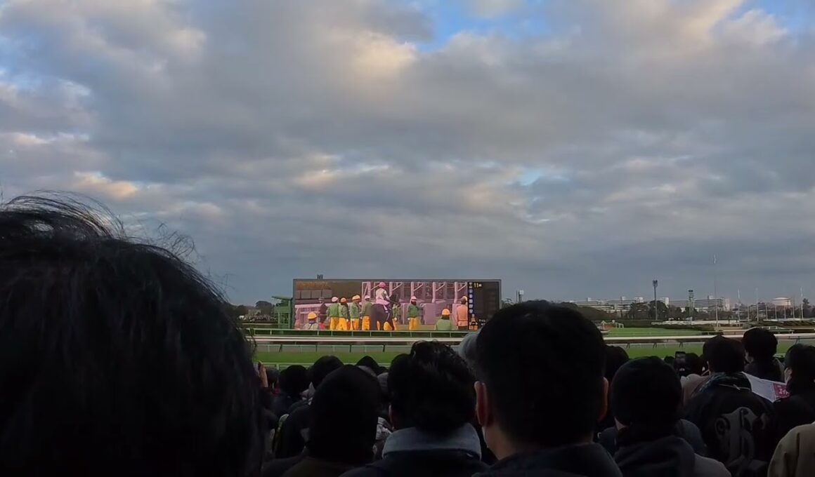 2025年12月27日　第42回ホープフルステークス　中山競馬場　【現地映像】