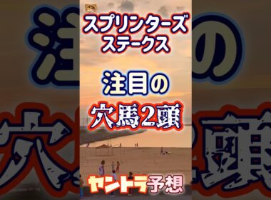 スプリンターズS穴馬2頭 オッズ妙味ならコチラのお馬さん?!😉