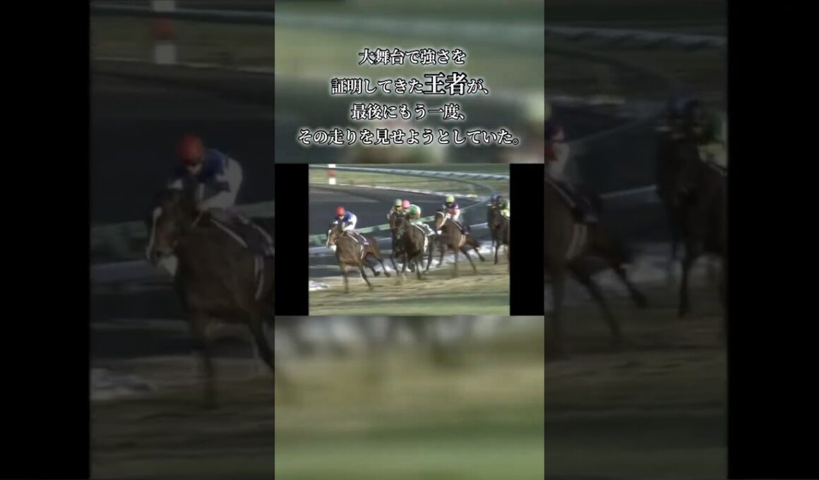 引退レースで見せた、王者の最後の衝撃。暮れの有馬記念で後続を突き放した、伝説のラストラン。#有馬記念 #競馬 #名馬 #ラストラン #中山競馬場 #競馬好きと繋がりたい
