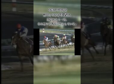引退レースで見せた、王者の最後の衝撃。暮れの有馬記念で後続を突き放した、伝説のラストラン。#有馬記念 #競馬 #名馬 #ラストラン #中山競馬場 #競馬好きと繋がりたい