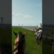 Fullstride ストレイトガールかウリウリか大接戦だぁ！スプリンターズステークス #fullstride #フルストライド #horse