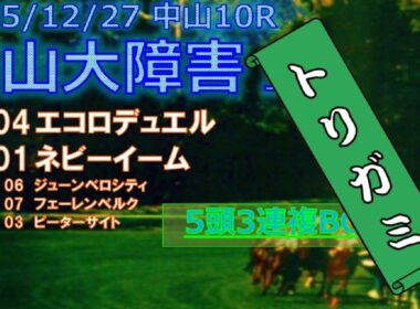 中山大障害予想（2025年12月27日中山10R）by R2理論