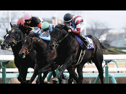 【レース回顧#72】2025ホープフルS回顧~ポケットから大外一気~