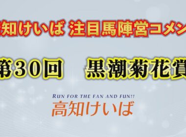 第30回黒潮菊花賞　注目馬紹介