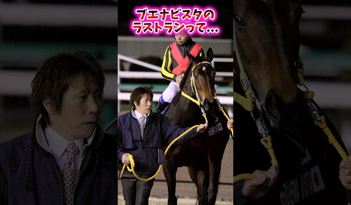 ブエナビスタのラストランって…【競馬反応集】 #ブエナビスタ #有馬記念