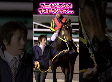 ブエナビスタのラストランって…【競馬反応集】 #ブエナビスタ #有馬記念