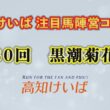 第30回黒潮菊花賞　注目馬紹介
