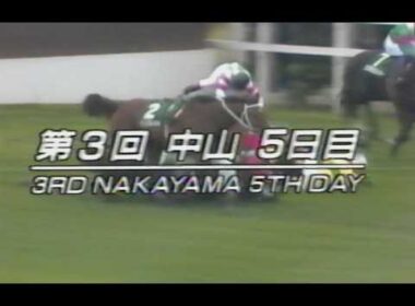 懐かしの「中央競馬ダイジェスト」1992年 中山大障害・春