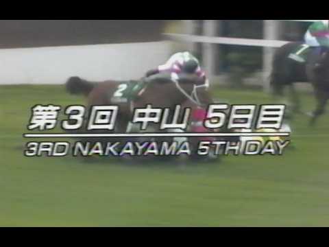 懐かしの「中央競馬ダイジェスト」1992年 中山大障害・春