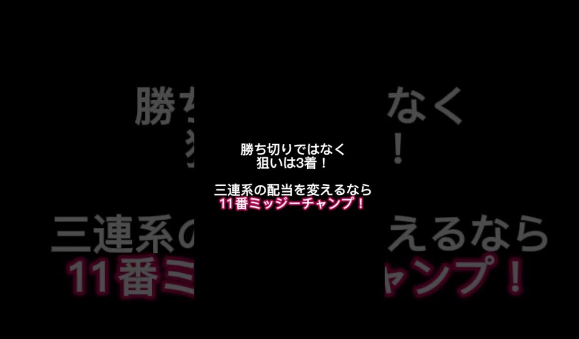 【黒潮菊花賞2026】配当を変える“上がり最速”の穴馬