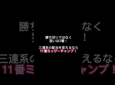 【黒潮菊花賞2026】配当を変える“上がり最速”の穴馬