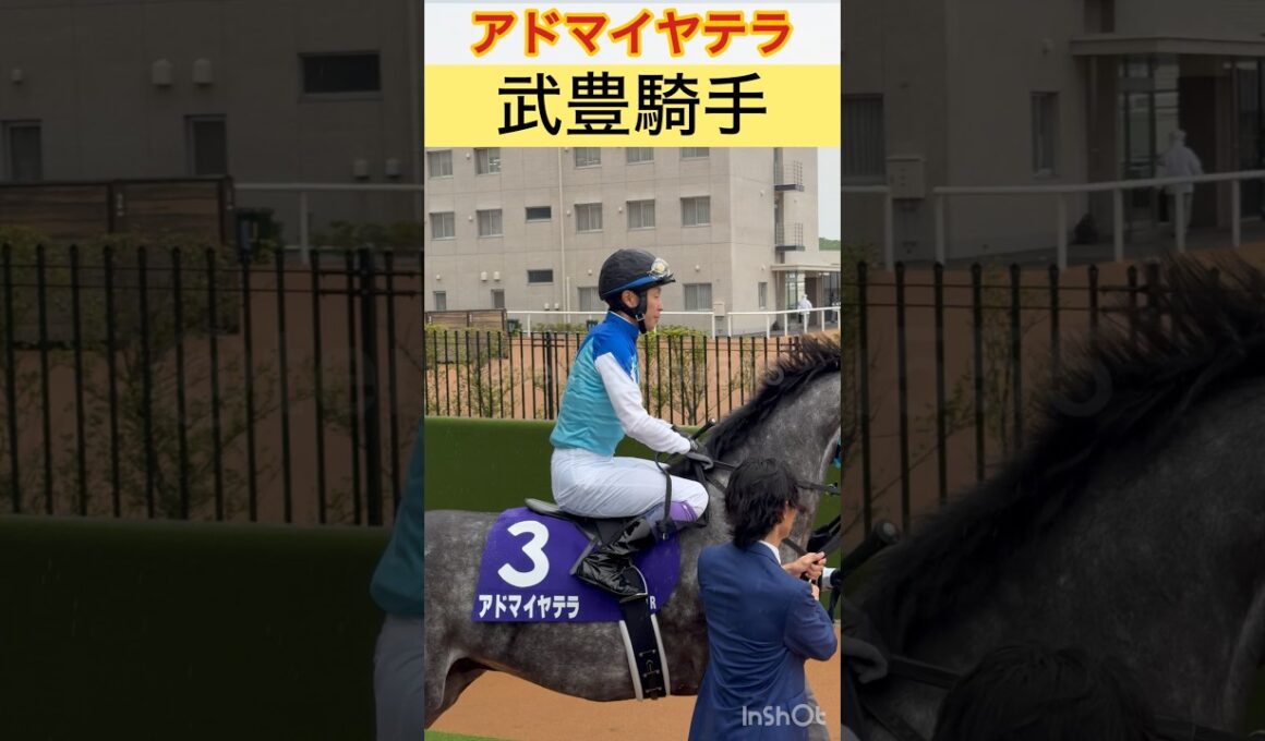 武豊騎手・北村友一騎手　春の天皇賞の馬場入り #shorts #short #武豊 #北村友一
