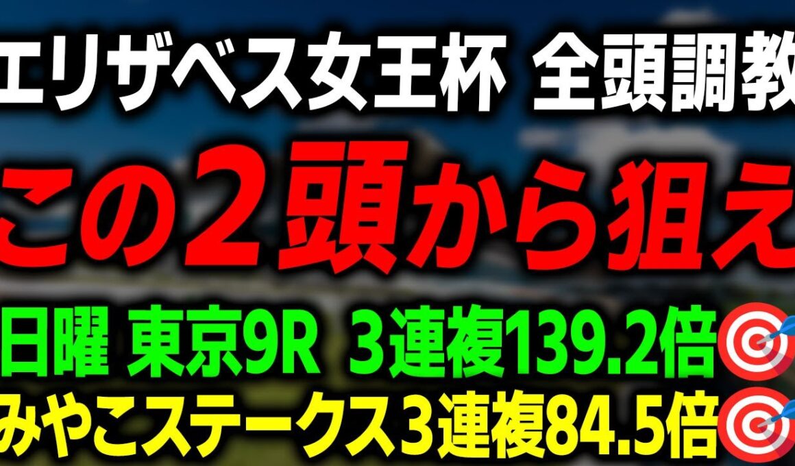 【エリザベス女王杯 2025】追い切りから見た推奨馬を徹底解説！レガレイラ エリカエクスプレス パラディレーヌの調教は？
