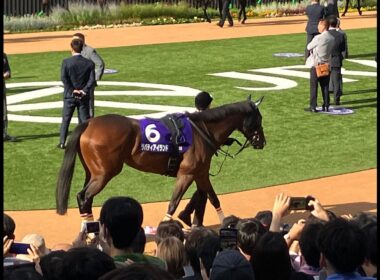【映像資料】2023年　秋華賞　煽りPV　リバティアイランド　＃映像資料　＃京都競馬場　＃リバティアイランド