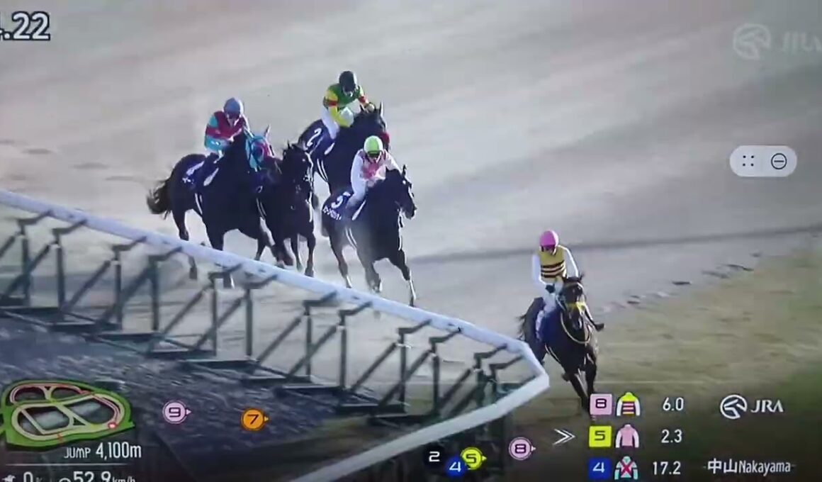 中山大障害　去年のレースの様子