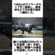 小さな女王！トウメイの雑学5選 #1分雑学 #競馬 #shorts #馬 #トウメイ