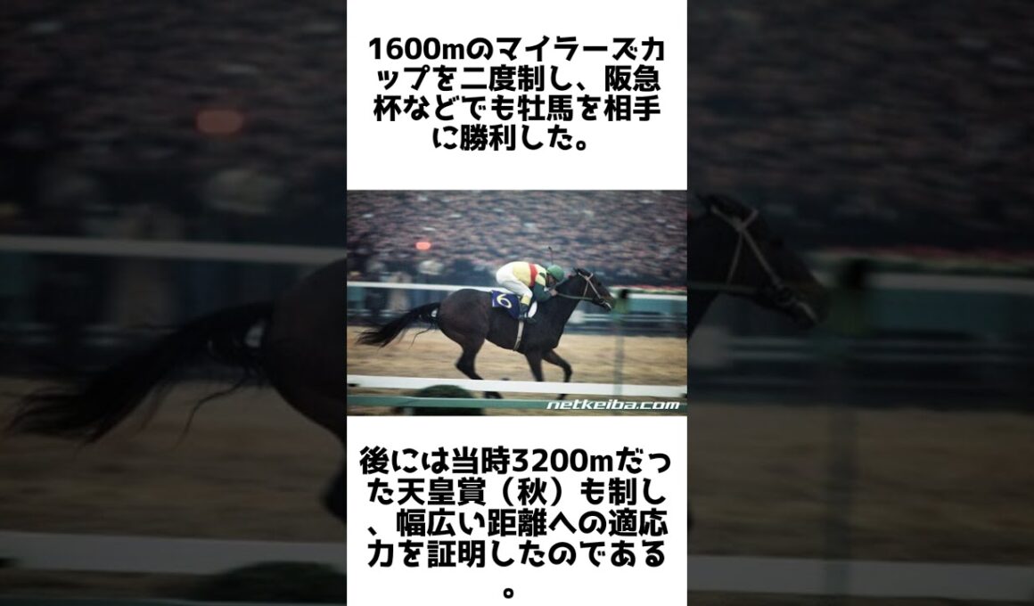 小さな女王！トウメイの雑学5選 #1分雑学 #競馬 #shorts #馬 #トウメイ