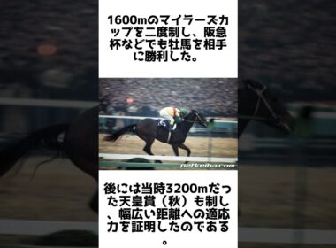 小さな女王！トウメイの雑学5選 #1分雑学 #競馬 #shorts #馬 #トウメイ