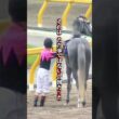 【ビワハヤヒデ物語③】「下馬」名手・岡部がレース後に馬から降りた日