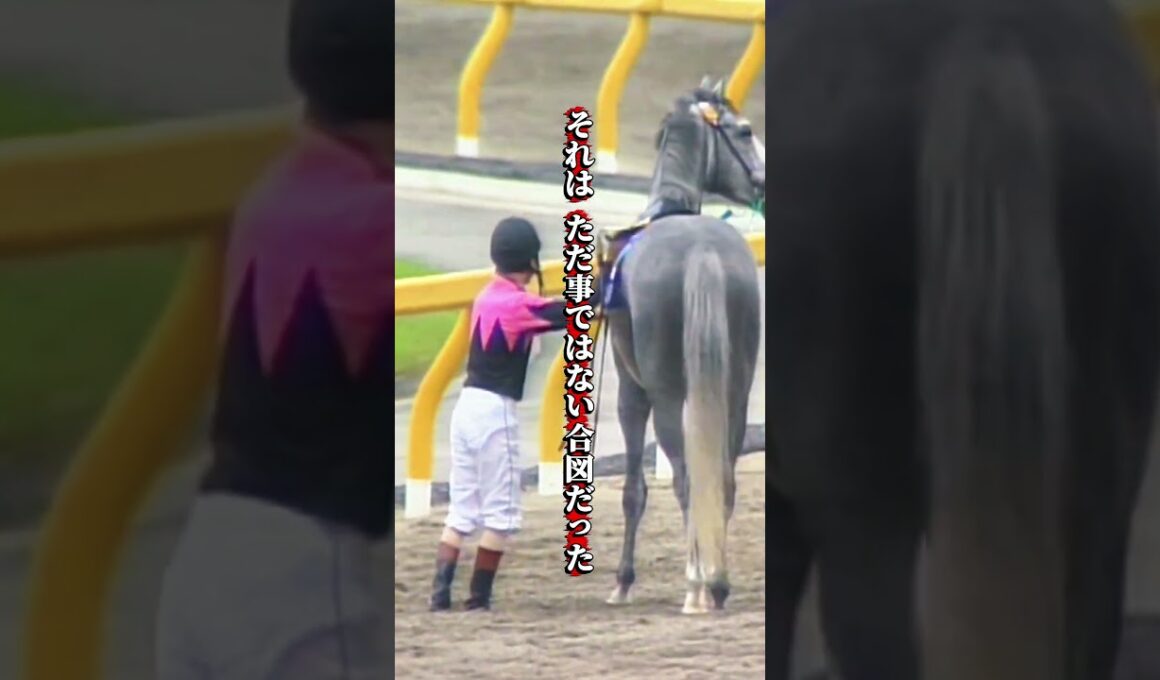 【ビワハヤヒデ物語③】「下馬」名手・岡部がレース後に馬から降りた日