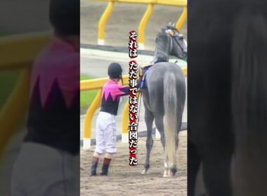 【ビワハヤヒデ物語③】「下馬」名手・岡部がレース後に馬から降りた日