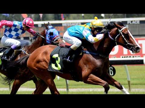 JAPANESE HORSE RACING LIVESTREAM 03 Aug 2026