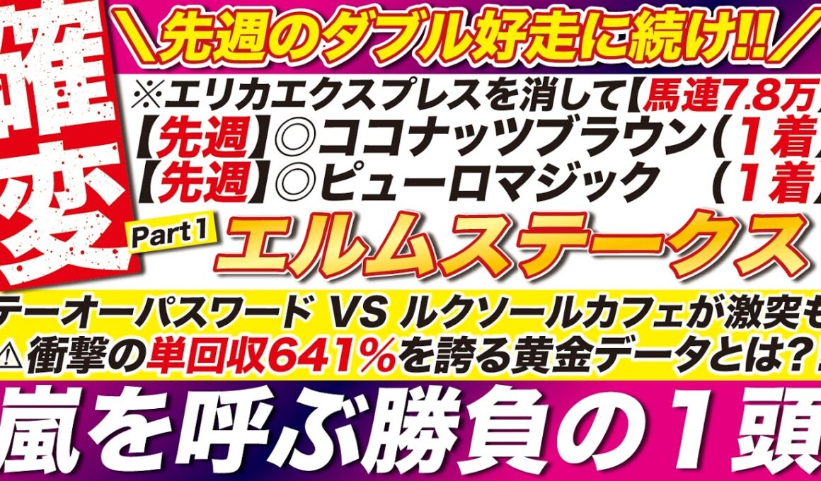 🎯回収率600％を超える→【エルムステークス 2026 予想】テーオーパスワード VS ルクソールカフェが激突も！衝撃の単回収641％を誇る黄金データとは？ 嵐を呼ぶ勝負の１頭