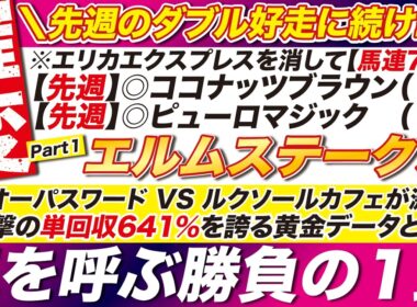 🎯回収率600％を超える→【エルムステークス 2026 予想】テーオーパスワード VS ルクソールカフェが激突も！衝撃の単回収641％を誇る黄金データとは？ 嵐を呼ぶ勝負の１頭