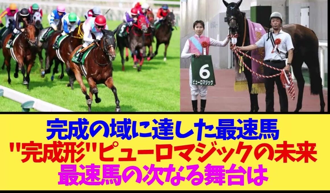 【短距離戦】完成の域に達した〝歴代最速馬〟ピューロマジックの今後は？