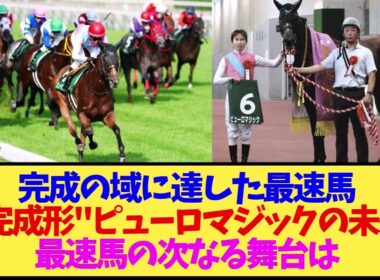 【短距離戦】完成の域に達した〝歴代最速馬〟ピューロマジックの今後は？