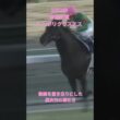 【有馬記念 2003】『名馬のラストラン集』 「驚愕の9馬身差圧勝」シンボリクリスエス #競馬 #ラストラン #シンボリクリスエス #有馬記念 #shorts