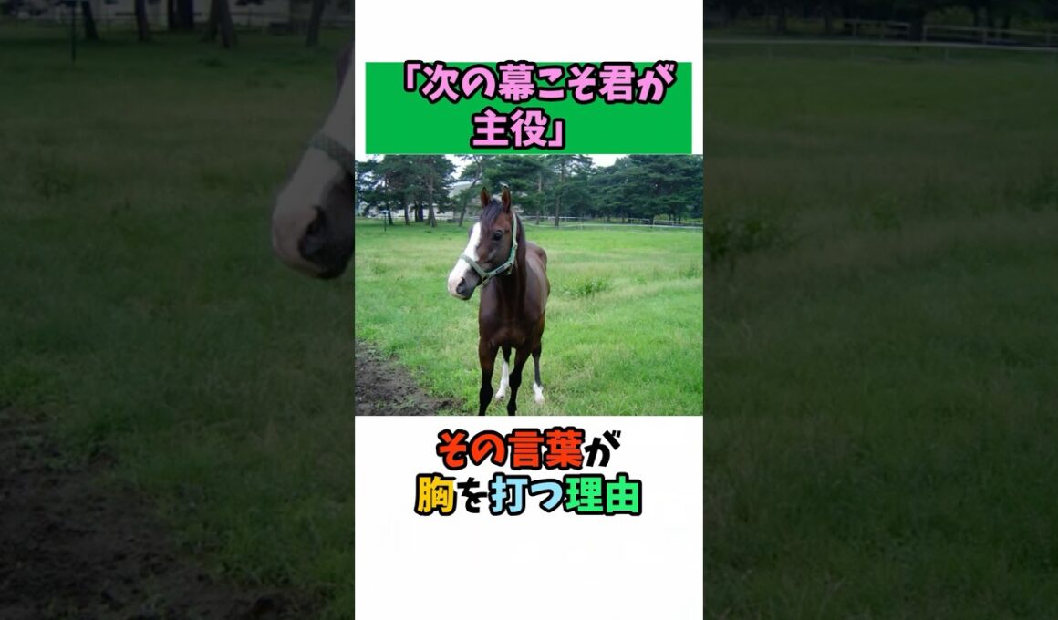 「次の幕こそ君が主役」その言葉が胸を打つ理由 #競馬#horse