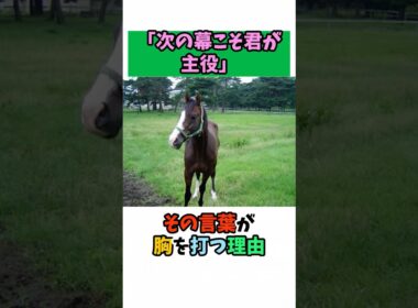 「次の幕こそ君が主役」その言葉が胸を打つ理由 #競馬#horse