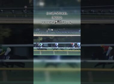 父ディープインパクトの血を受け継ぎ、無敗三冠まで駆け上がった一頭。最後のジャパンカップで見せた、有終のラストラン。#ジャパンカップ #競馬 #名馬 #ディープインパクト産駒 #三冠馬 #ラストラン