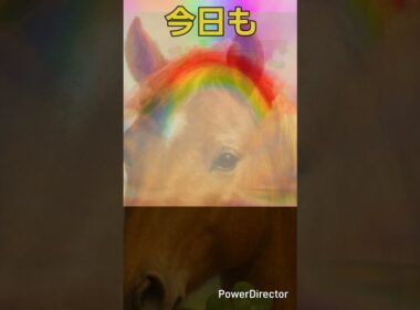 優駿牝馬 オークス G1 オカルトリンク #2026年 #jra #競馬予想 #手をつなごう #ano #優勝