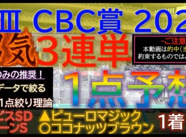 ★宝塚記念2026で３連複１点的中！【男気1点】CBC賞2026～究極3連単1点絞り理論 #競馬 #競馬予想 #cbc賞 #cbc賞2026 #cbc賞予想 #エルムステークス #レパードステークス