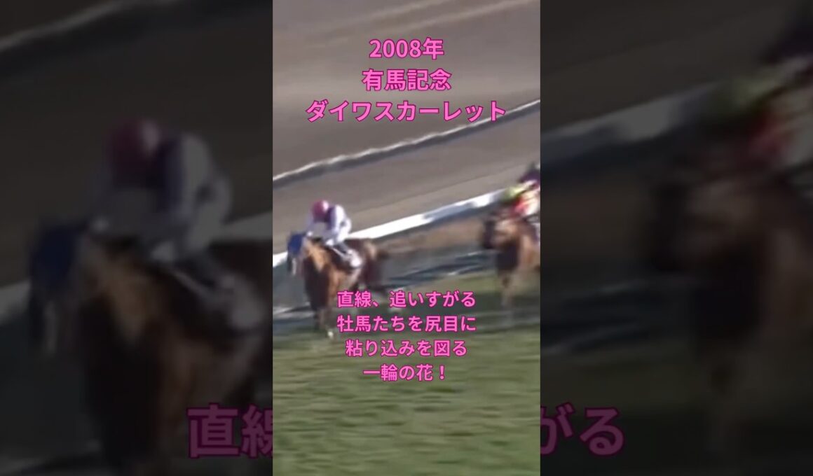 【有馬記念 2008】『名馬のラストラン集』「37年振りの偉業 歴史的名牝による有馬記念 制覇！」 ダイワスカーレット #競馬 #ラストラン #ダイワスカーレット #有馬記念 #shorts