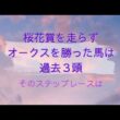 【優駿牝馬／オークス復習】成績表を見直して気づいた「距離適性」のこと