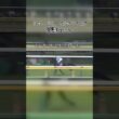 マイル王が挑んだ東京2000m。距離の壁を越えて、王者の強さを証明した天皇賞・秋。#天皇賞秋 #競馬 #名馬 #東京競馬場 #マイル王 #競馬動画 #競馬好きと繋がりたい