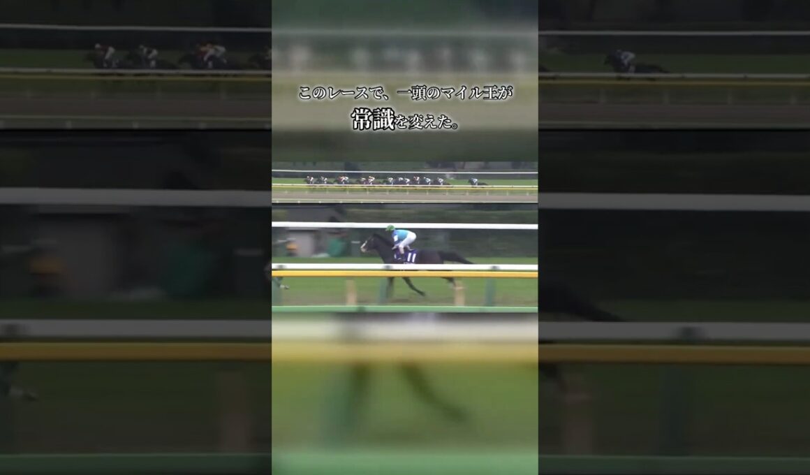 マイル王が挑んだ東京2000m。距離の壁を越えて、王者の強さを証明した天皇賞・秋。#天皇賞秋 #競馬 #名馬 #東京競馬場 #マイル王 #競馬動画 #競馬好きと繋がりたい
