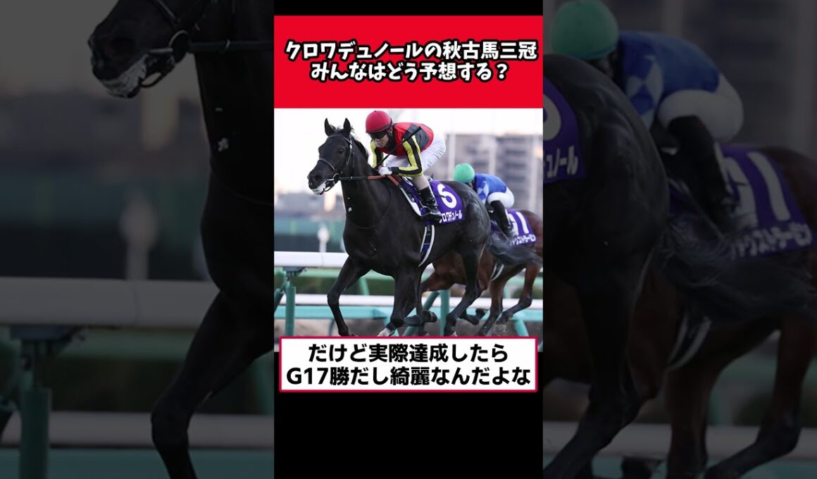 クロワデュノールの秋古馬三冠、みんなはどう予想する？【競馬反応集】#クロワデュノール
