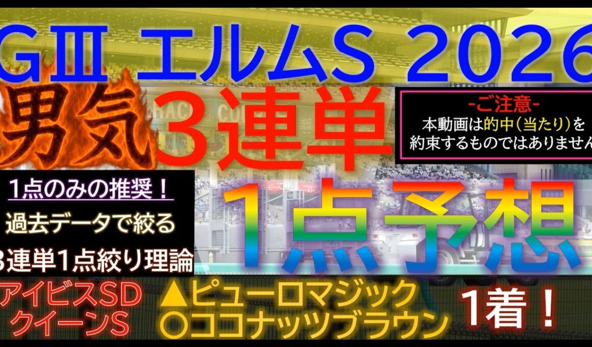 ★宝塚記念2026で３連複１点的中！【男気1点】エルムステークス2026～究極3連単1点絞り理論 #競馬 #競馬予想 #エルムステークス #エルムステークス #レパードステークス #cbc賞 #jra