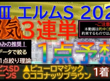 ★宝塚記念2026で３連複１点的中！【男気1点】エルムステークス2026～究極3連単1点絞り理論 #競馬 #競馬予想 #エルムステークス #エルムステークス #レパードステークス #cbc賞 #jra