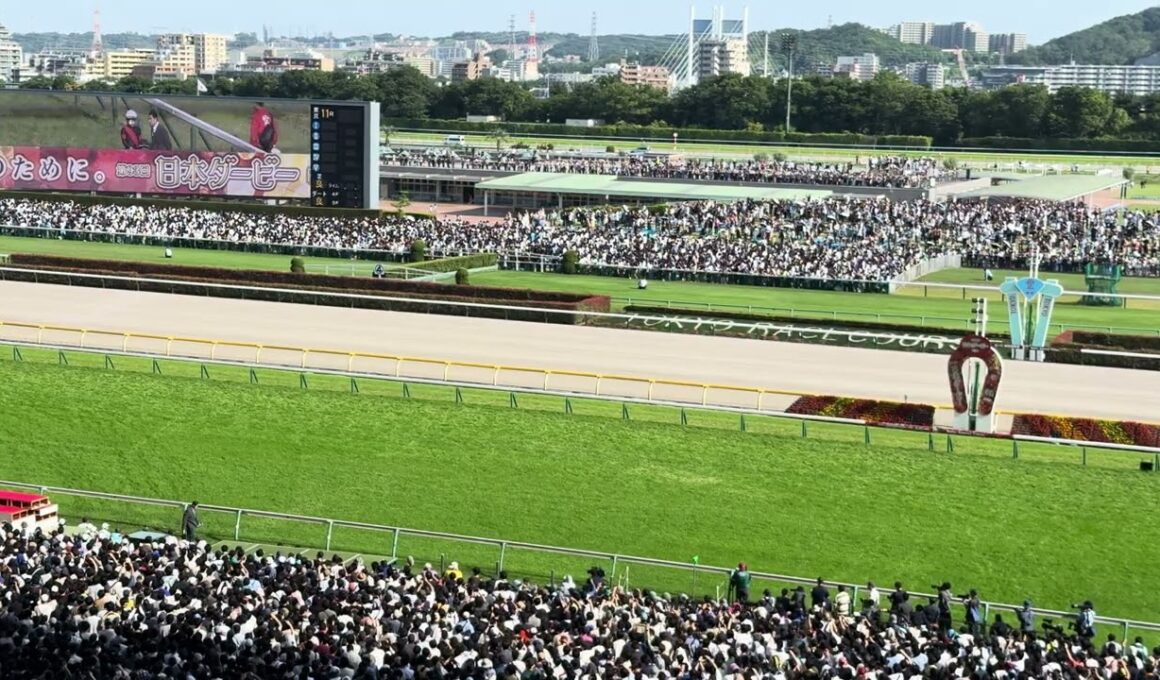 2026 東京優駿(日本ダービー) ロブチェン 現地