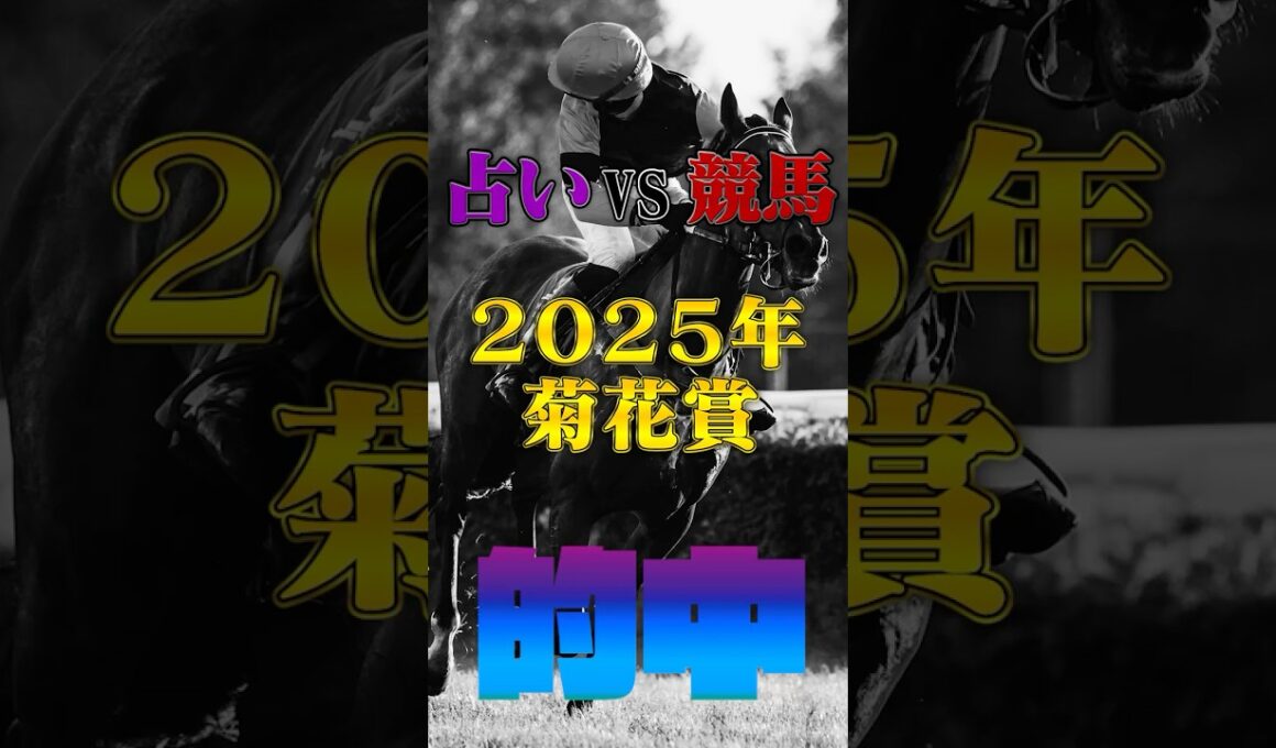 【的中!!】 菊花賞【占いV S競馬】 #競馬占い#的中